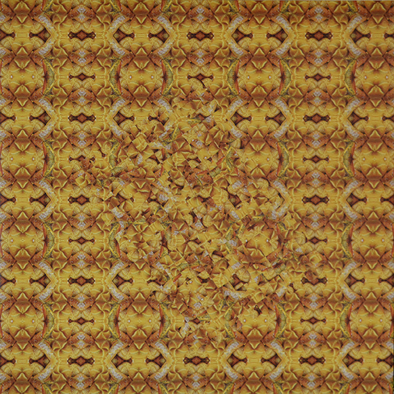 Die Lust des Werdens, 2025, C-Print gewebt, 70 x 70 cm